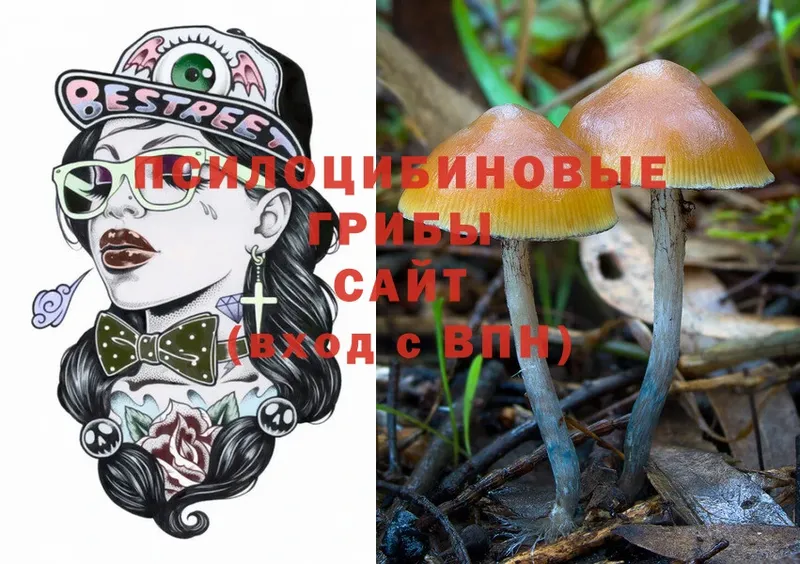 Галлюциногенные грибы Psilocybine cubensis  даркнет сайт  Нариманов 